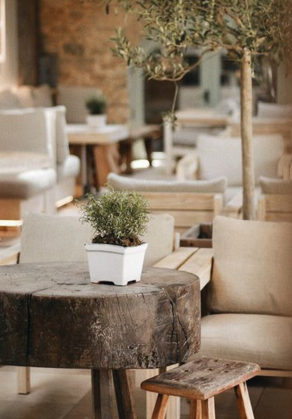 cafe